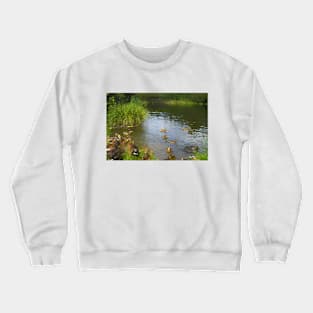 Ducks on the lake Crewneck Sweatshirt